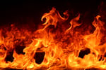 Leading Explosion Protection Systems Provider For Sale