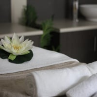 Well Established Beauty Spa in Western Sydney for sale Ref3692 image