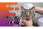 35482 Popular Pet Grooming Salon on the Sunshine Coast