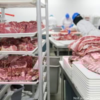 UNDER OFFER - Retail and Wholesale Butcher Shop and Meat Processing Business - QLD image