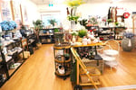 Scone Newsagency - $425k + SAV