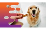 35663 Established Pet Treat Business  Flexible, Profitable, Home-Based