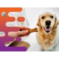35663 Established Pet Treat Business  Flexible, Profitable, Home-Based image