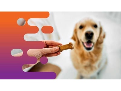 35663 Established Pet Treat Business  Flexible, Profitable, Home-Based image
