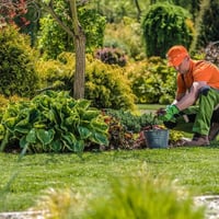 Garden Maintenance & Home Improvements Business, Albury Wodonga image