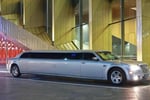 Professional Limousine Service