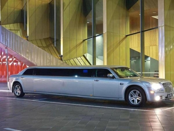 Professional Limousine Service
