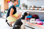 Established Pet Retail - $200K Including $130K Stock at Cost