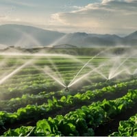 Thriving Irrigation and Pumps Business - Central Queensland! image