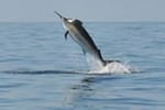 THE BEST FISHING TACKLE OUTLET IN AUSTRALIA