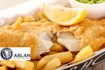 MODERN FISH AND CHIPS BUSINESS FOR SALE