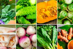 Established Grocery & Butcher Business + Residence | Campsie | $299,000