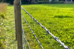 MASSIVE PRICE DROP Retail Produce & Farm/Rural Supplies, Under Management, Mid-North Coast
