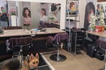 Thriving Hair Salon 20 Years of Success Prime Sunshine Coast Location