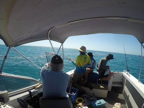 Unique Tagalong Adventure Boating Business - High Profit Margins