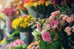 Established and Highly Regarded Retail Florist - Northern Suburbs, VIC