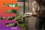 37229 - Profitable Insect Breeding Business - Strong Wholesale Demand