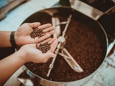 PRICE ON REQUEST | PREMIUM BOUTIQUE COFFEE ROASTER - NORTHERN NSW LIFESTYLE HUB VBA-2585 image