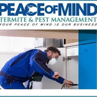 Established Termite & Pest Management Business Flexible, Mobile Operation. WIWO image