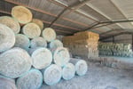 WRT Feed Shed - Stockfeed & Produce