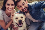 Bark Busters Dog Training Franchise