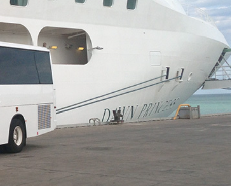 BUS CHARTERS AND TRANSFERS