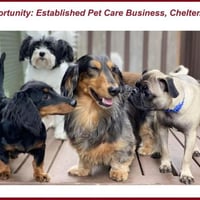 Pawsome Opportunity: Established Pet Care Business in Adelaide! image