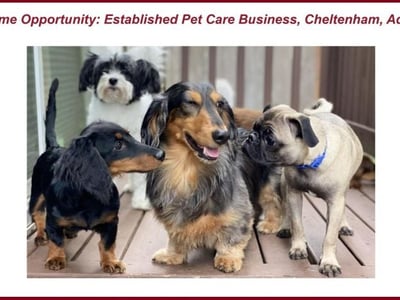 Pawsome Opportunity: Established Pet Care Business in Adelaide! image