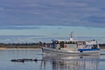 Boat Cruise business for sale. A great lifestyle.