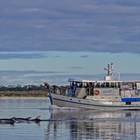Boat Cruise business for sale. A great lifestyle. image