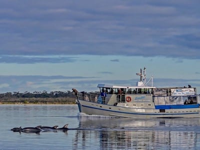 Boat Cruise business for sale. A great lifestyle. image