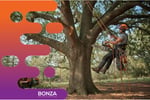 37033 - Profitable Tree Services Business with Loyal Client Base