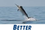 THE BEST FISHING TACKLE OUTLET IN AUSTRALIA