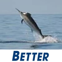 THE BEST FISHING TACKLE OUTLET IN AUSTRALIA image