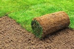 Landscape Supplies/Earthmoving Business, Run Under Management, Near Gosford