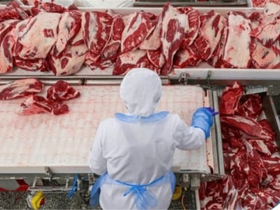 NSW Meat Wholesalers 36 years Established $ 12 mil T/0 Per Year High Profits image