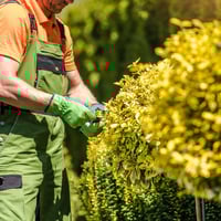 Mowing & Garden Care Part time Noosa area image