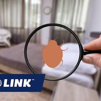 Northern Beaches Building & Pest Inspections Business image