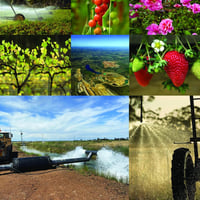 Where Innovation Meets Sustainability image