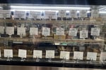Highly Profitable Large Format Health Food Store - Forster, Mid North Coast NSW
