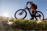 23201 Successful & Longstanding Electric Bicycle Retailer - Lucrative Market