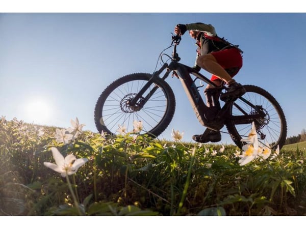 23201 Successful & Longstanding Electric Bicycle Retailer - Lucrative Market