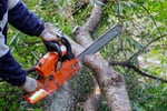 High-Performing Arborist Business | ~$1M Revenue | ~$400K+ EBITDA | Team in place