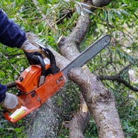 High-Performing Arborist Business | ~$1M Revenue | ~$400K+ EBITDA | Team in place image