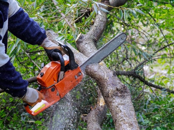High-Performing Arborist Business | ~$1M Revenue | ~$400K+ EBITDA | Team in place