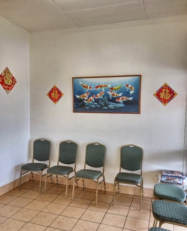 Chinese Takeaway $7.5k+/wk Turnover – Orelia – $78k, photo 4