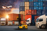 Large 3PL - Logistics/Warehousing and Transport Service Provider #393