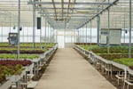 Coming Soon - Unique Business - Hydroponics Industry