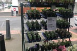 Oakleighs Iconic Florist Nursery Business for Sale SV1585