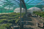 Plant the seed for your future